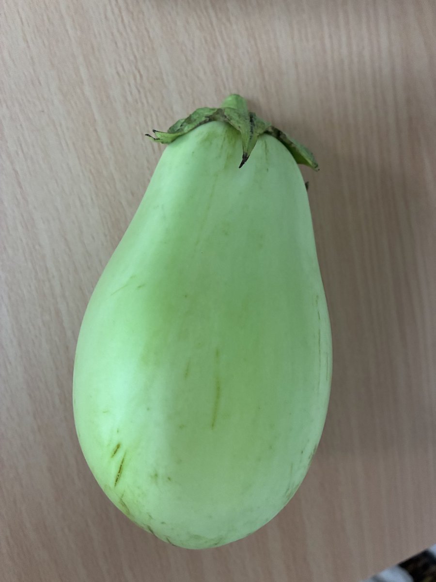4sima2's tweet photo. 人生初！
白茄子いただきました
加熱するとトロトロになるらしい😋 https://t.co/RQ1siPXtip
