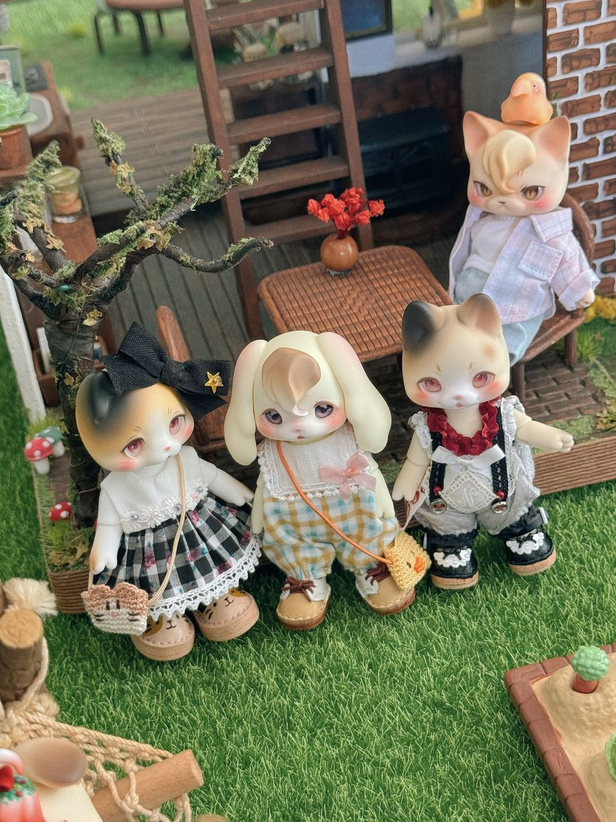 mirukudayz's tweet photo. ダブルデート(?)
🐈🦮🐈

#kumukuku #쿠무쿠쿠
#cocoriang #코코리앙 https://t.co/dMrFFYlhZn
