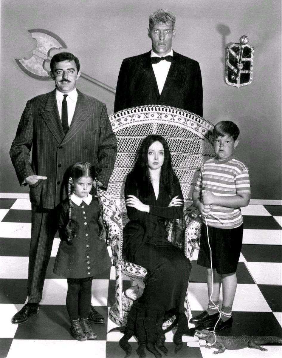 germanshepard8's tweet photo. #18settembre 1964
Sugli schermi tv arrivano gli #Addams.
#Storia #tv https://t.co/3RExv9RL79