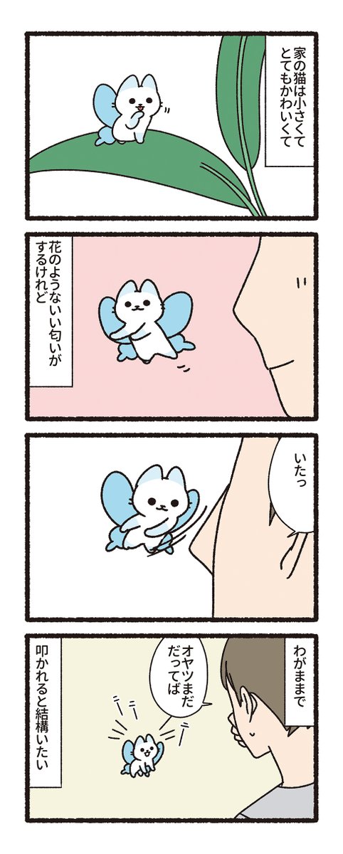 pandania0's tweet photo. ちいさな妖精ねこ（1/3） https://t.co/l3cOuakdui