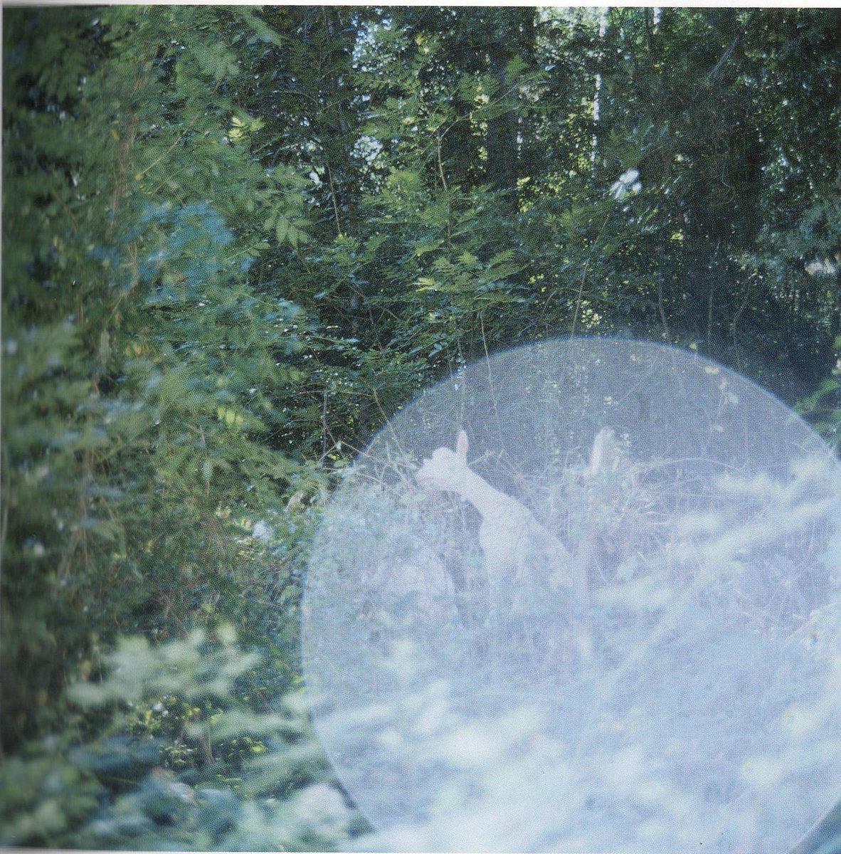 objectfetishist's tweet photo. My Scans from “The eyes, the ears” by Rinko Kawauchi, 2005
Available at https://t.co/fsifNjyEvW https://t.co/C3tk2UsgeO