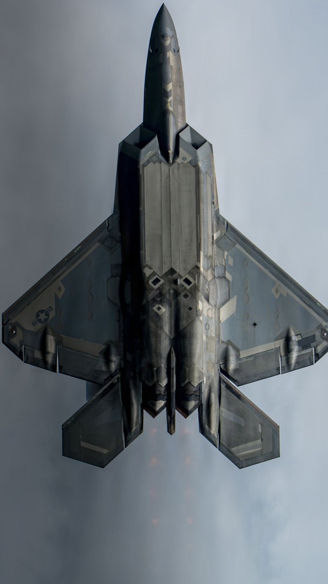 Remnantize's tweet photo. F-22 Raptor https://t.co/tK439V5QOx