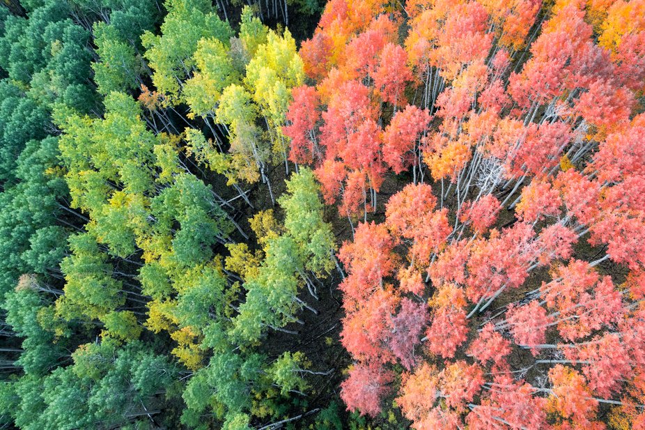 viewbug's tweet photo. That autumn split. 🍂

“Autumn Divide” by simalg05 — on VIEWBUG.

See the photo: https://t.co/APiRDOAoIv

#photography #landscapephotography #viewbug https://t.co/QixbFOgjgS