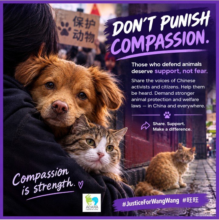 Marcemgffvg's tweet photo. Compassion is strength. 💪 Inside China, compassionate citizens are demanding an end to animal cruelty.We stand with the activists. It is time for the Chinese government to listen and enact an Animal Protection and Welfare Law. 🇨🇳 #JusticeForWangWang #旺旺 #StopAnimalCruelty 💜 https://t.co/8zdeN7Jrqp