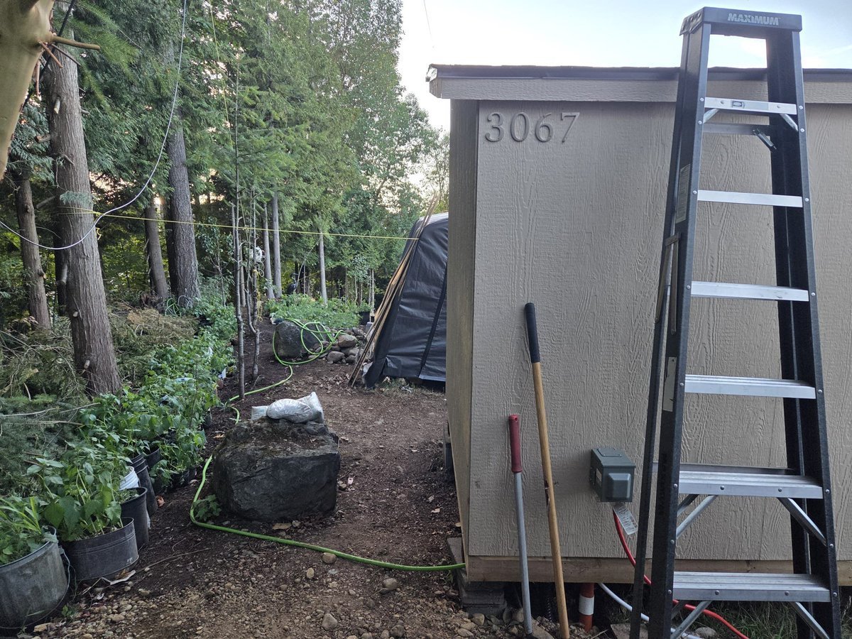 albert_riopel's tweet photo. Probably, do more set-up with the new 'Amateur Radio Shacks!

Likely, we'll add the 2nd shed 🏗🏡next spring, year 2027 at Point Roberts, WA,  USA 🇺🇸.

As for the Lantzville, BC 🇨🇦 property, we might need to build the other 2nd shed right away. We need more workshop space in our Lantzville 🇨🇦 property, especially heading to the wintertime ❄️. 

Overall, we need extra space for gardening tools, small building tools & machineries 👩‍🌾👨‍🔧 for both properties, and likely with the 3rd property in Mount Vernon 🇺🇸 (Skagit Valley-near Milltown Boat Launch).

Anyway, we'll post the two(2) Amateur Radio 📻 Shacks current status here. 
^ ER ✍️ (@EarlaRiopel)