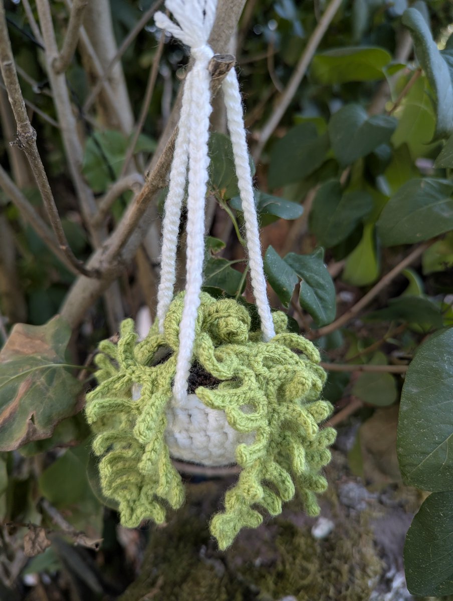 Hanawa_Crochet's tweet photo. Vos petites plantes préférées dans votre TL 🥰
Je viens de les terminer ! Je les aime trop https://t.co/8bDjE8RxvN