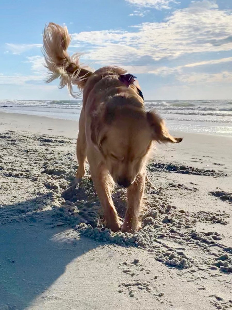 addisonrobgn57's tweet photo. When that Friday feeling kicks in… Happy weekend! https://t.co/7xIvk4UBUe