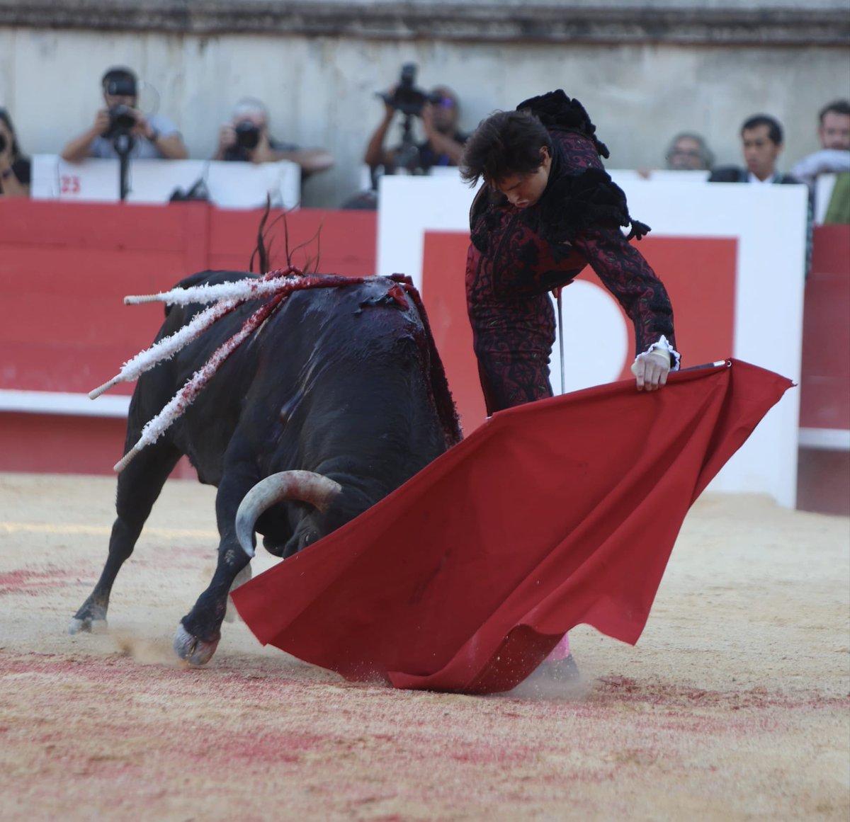 RocaRey's tweet photo. Ovación en el primero de la tarde de la ganadería Victoriano del Río. https://t.co/0dhpjHtKQP