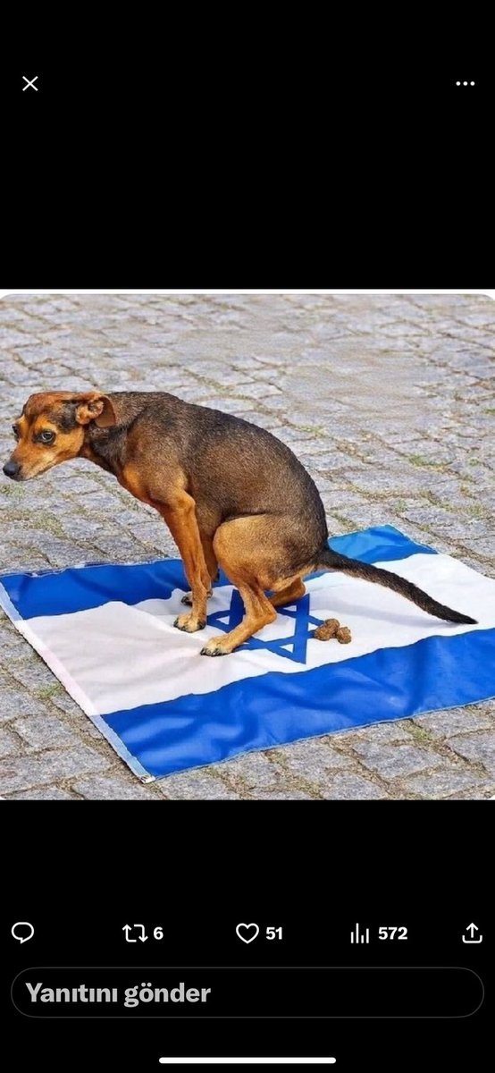 alcen77's tweet photo. @MayaEthanjs Köpekte öğle diyor https://t.co/VGZFuxKHmZ