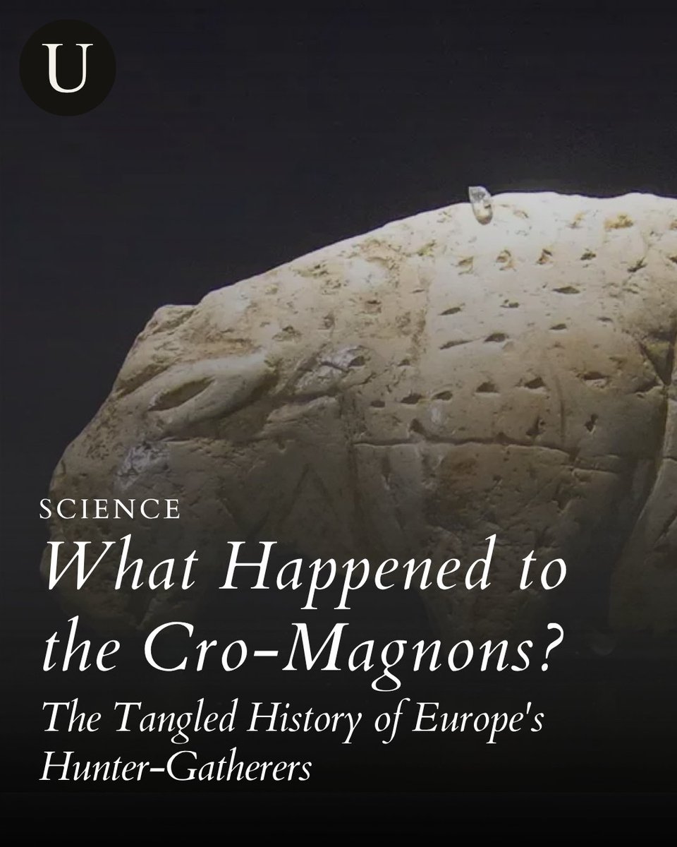 ThUniversalist's tweet photo. What Happened to the Cro-Magnons? The Tangled History of Europe's Hunter-Gatherers

Read the full article on our website
🔗 https://t.co/Dgue7VOnOc

#theuniversalist #science #cromagnons #neanderthals #homosapiens https://t.co/YAyZkyqk8B
