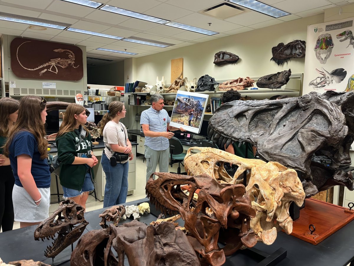 WitmerLab's tweet photo. #FossilFriday Had a packed house the other night for a lab tour for the @OhioU Geology Club. Over 2 hours of great questions &amp; lotsa laughs! Thanks to Evan Doles &amp; Abbie Fausnaugh for the photos! See ALT for captions. 🦖🦕🐊 https://t.co/GZiHQFJEw3