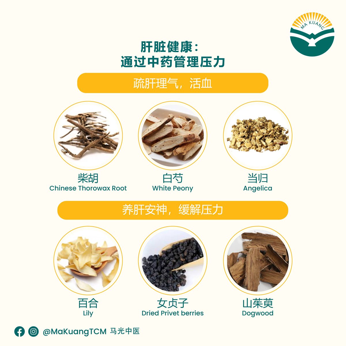 michaelwalqkl5's tweet photo. Excessive stress can affect our liver health! Seeking professional help is perfectly fine. However, we can also consider traditional Chinese medicine as an alternative approach. Swipe left to discover its benefits! Follow us on Facebook and https://t.co/3QYlPVcqIN
