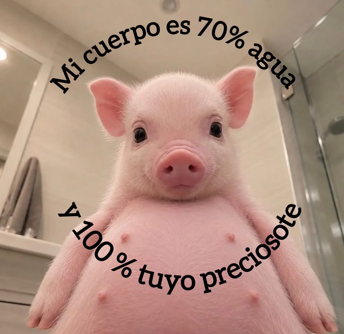 __enlaluna's tweet photo. 🐽 https://t.co/QJGLBsHNMe