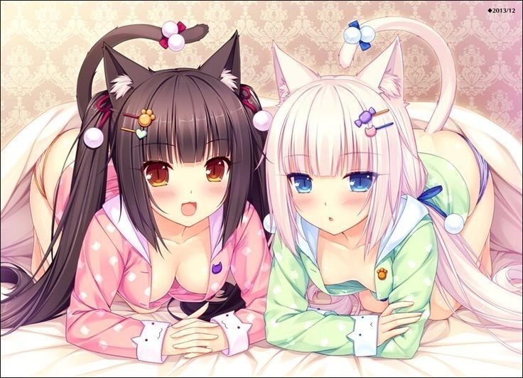 _dollwishes's tweet photo. https://t.co/GtdgauANFm