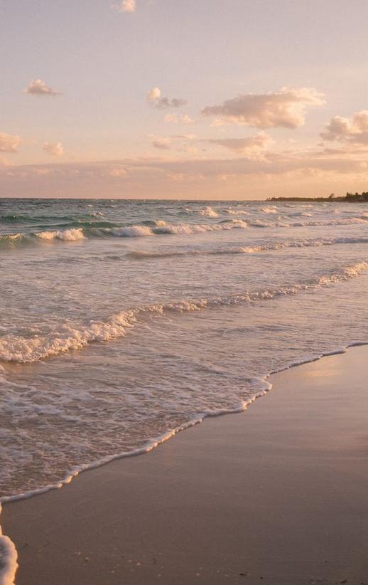 sgoswami87's tweet photo. The smell of the ocean breeze is everything. (Cung) https://t.co/bpj7wbN17L