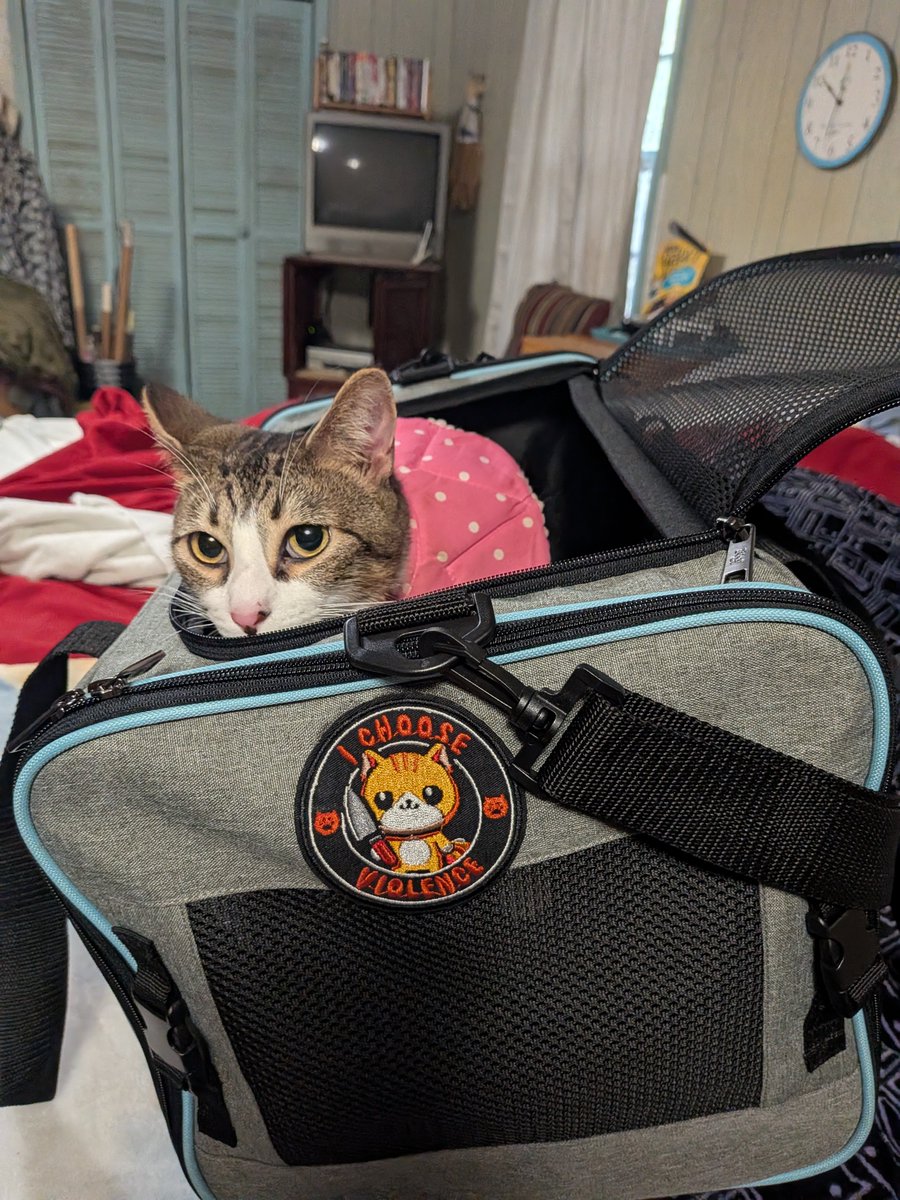 jbruorton21's tweet photo. Took OC for her follow up. X-ray shows a clear bladder...Yey!
Her new purrsonalized carrier was a really big hit ๐ธ
#calicocrew
#catsoftwitter
#chilltent https://t.co/8ZsfbczvZS