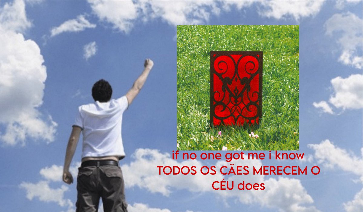 camimeleon's tweet photo. fiz a versão todos os cães merecem o céu https://t.co/HByOyOX8Rk