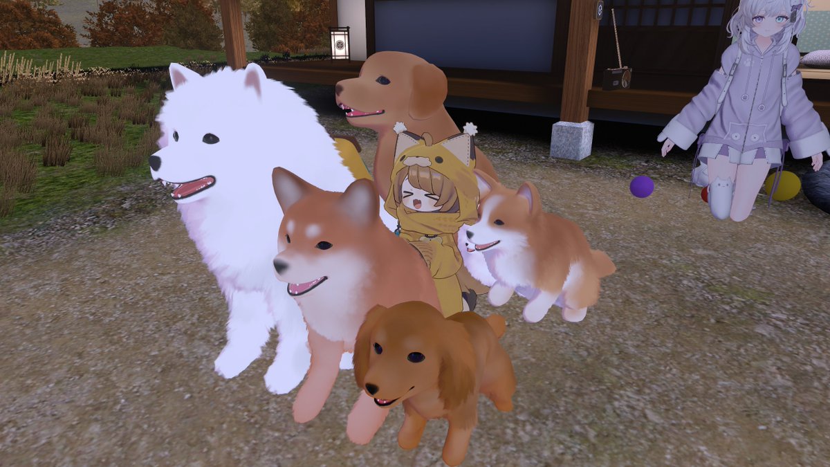 TetoraP_VRC's tweet photo. わんこいっぱ～い https://t.co/UMotjzaxnR