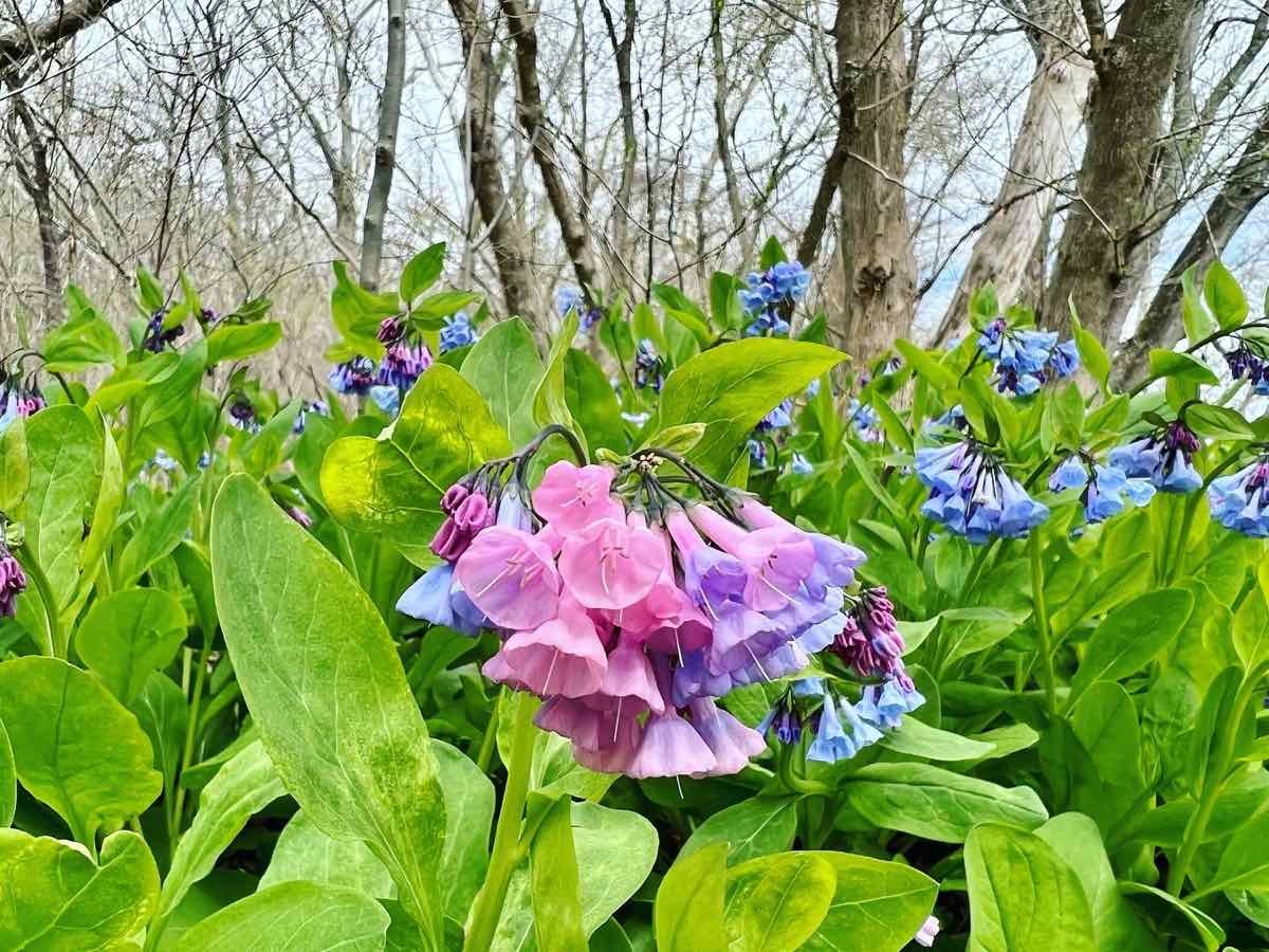 EmilyWilsoksl's tweet photo. DHon't forget to smile 😊 ☺️ 😄
Take care 🙂 As always, peace, love and happiness 😊 ❤️ope today is a terrific Thursday for all! https://t.co/cFGBgnUVu6