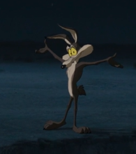 BeetleBiscuits's tweet photo. might be the fifth time i rewatched this silly movie hes just so cute #coyotevsacme https://t.co/TbHIu0P3u6