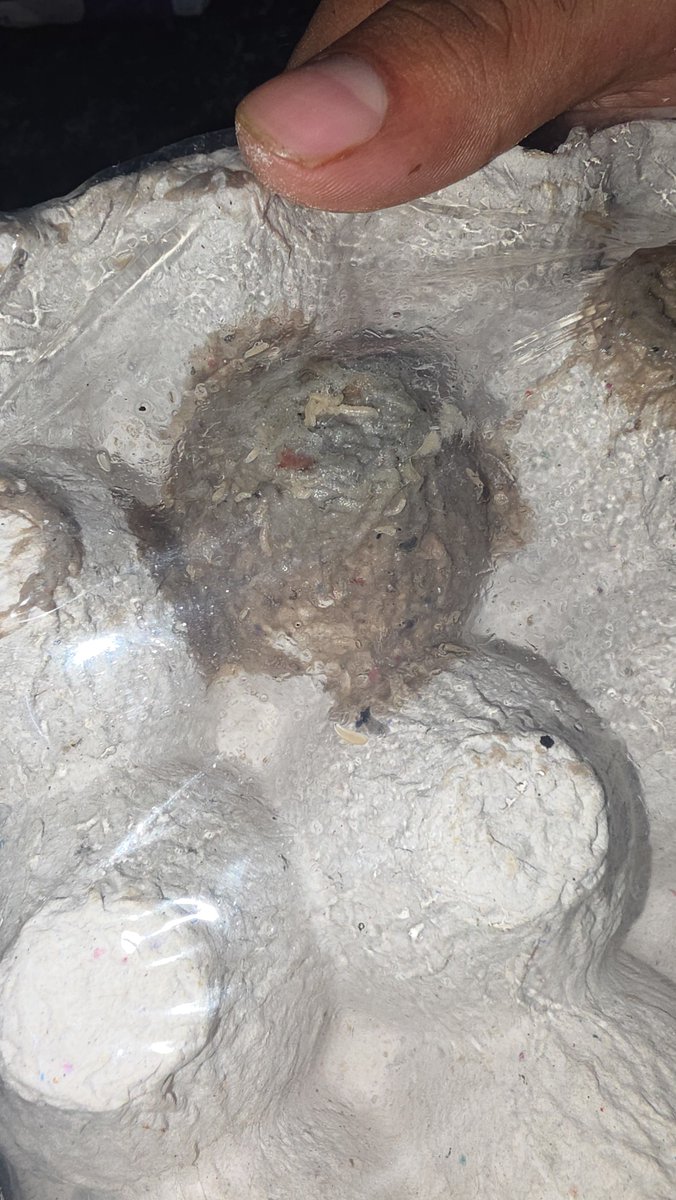 Sumityadv4u's tweet photo. A food-delivery platform is not merely delivering a product; it is delivering something that enters a family's kitchen and potentially their body.

I ordered OVO Farm On-Day White Eggs from Blinkit and found live worms/larvae crawling inside the packaging, clearly visible. https://t.co/3ZtnyoMH33