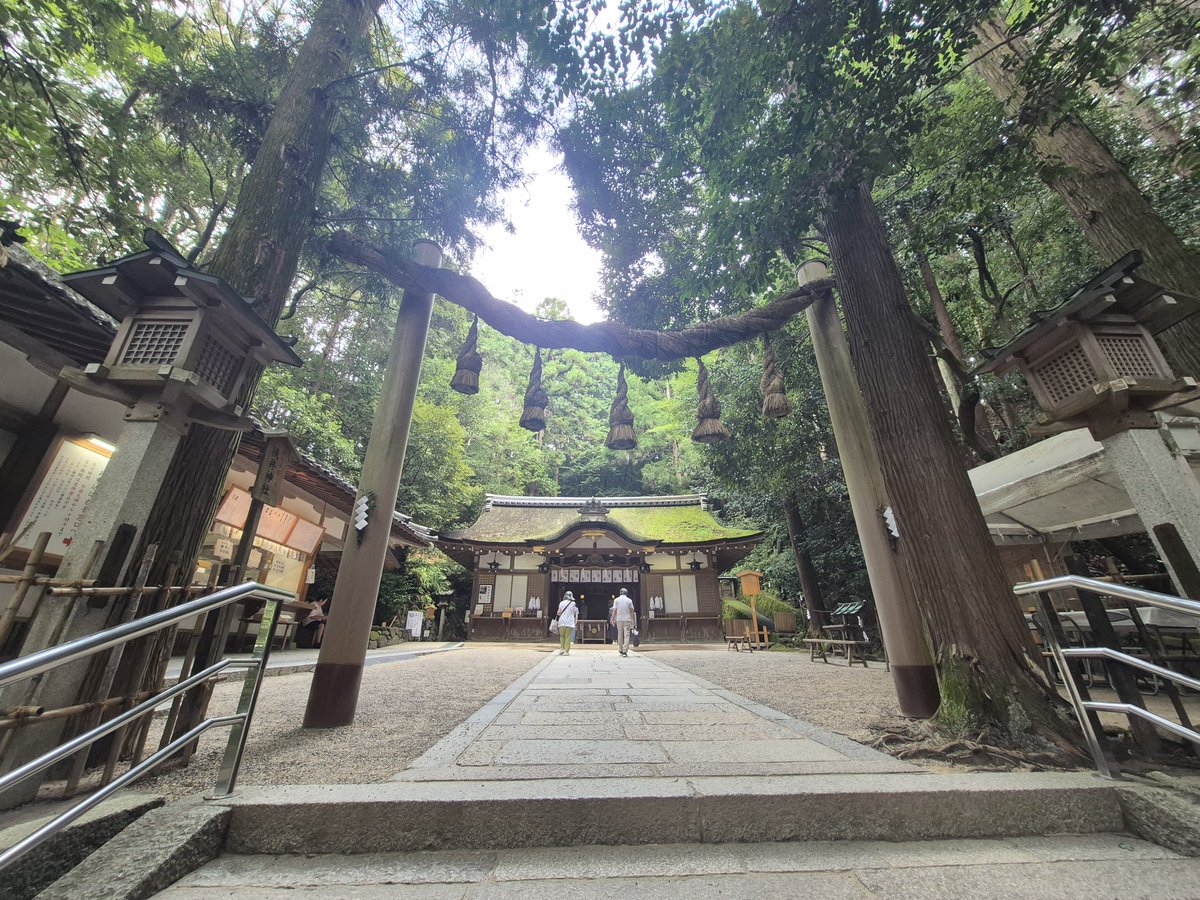etsuko_green's tweet photo. グルグルグル〜♪

本日、一人遠足（by車）。

長谷寺→法起院→三輪そうめん流し→大神神社（三輪明神）→まほろばキッチン橿原（JA）

次回の一人遠足は、「京都御所、しょうざんリゾート（10月に添乗あるので）」の予定😊
お寺もちょっと行きたい。

勉強だ...。 https://t.co/6JzXI08vZv