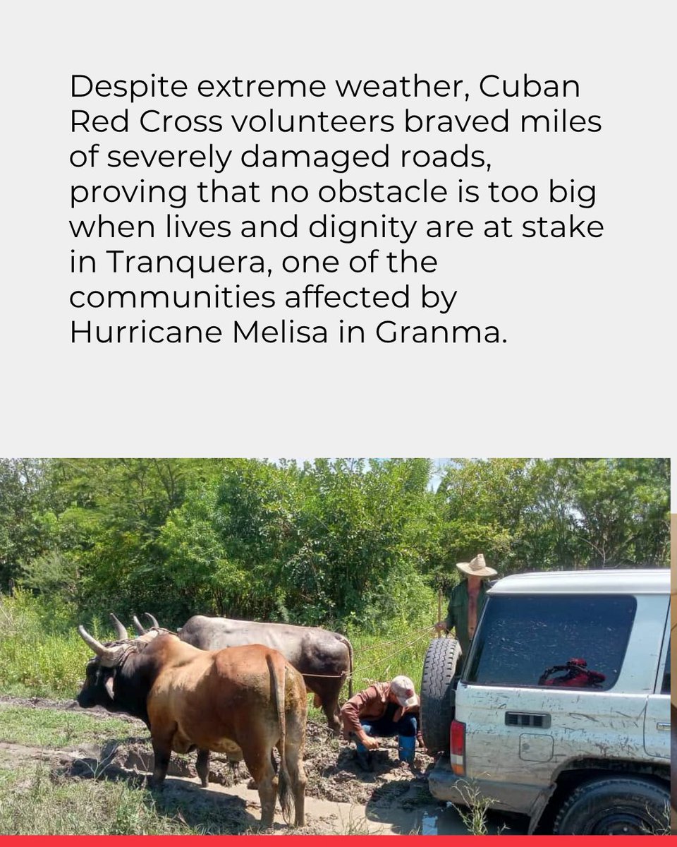 ifrc's tweet photo. ☀️ The Cuban Red Cross is bringing light back where it is needed most.

Despite extreme weather and severely damaged roads, Cuban Red Cross volunteers reached Tranquera, a community in Granma affected by Hurricane Melissa, to install a new solar energy system.

“Today, in Tranquera, that light is on.” - Jorge Verdecia Ramírez, Cuban Red Cross

Now fully operational, the system will help keep essential medical services running during power outages, enabling healthcare workers to provide uninterrupted care, safely store vital medicines and strengthen community preparedness.

This support forms part of the @IFRC Emergency Appeal, which seeks to raise CHF 18 million to support the Cuban Red Cross response and help 100,000 people recover over 24 months.