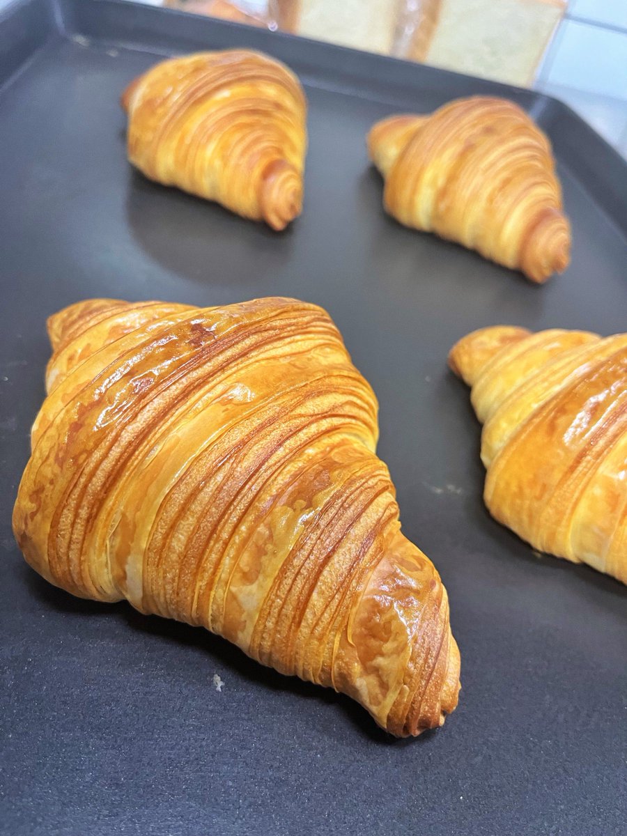DeanBrevikl5e's tweet photo. Just grabbed this warm, buttery croissant from the corner bakery—flaky layers that melt in my mouth, pure morning joy right here! https://t.co/Jn0xzezF2N