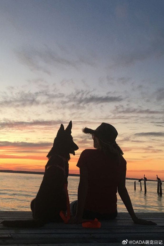 AlfredoRepw5pg's tweet photo. Just finished a 2-hour hike with my pup — the sunset painted the sky pink and orange, and my legs are sore, but this warm breeze in my hair makes every step worth it. https://t.co/bASlPWMb8F