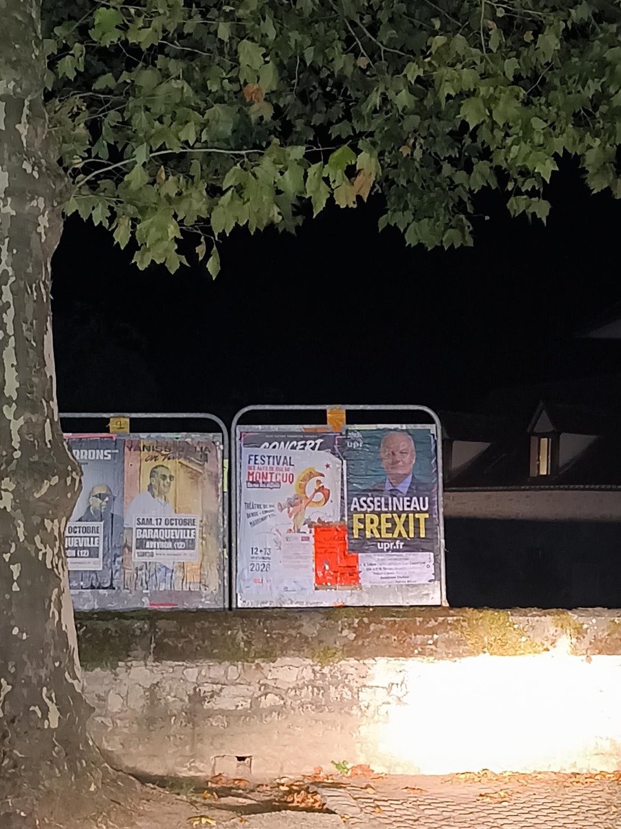 nicolasbauer2's tweet photo. DE LA COLLE ET DU CŒUR 
Affichages nocturnes dans le Lot (46)
Montfaucon, Vaillac, 
St Chamarand, Frayssinet, Lamothe Cassel, Labastide, Murat,
Goudou.
Merci à Geoffrey pour son engagement. 
#Asselineau #upr #frexit https://t.co/lciGblzUOm