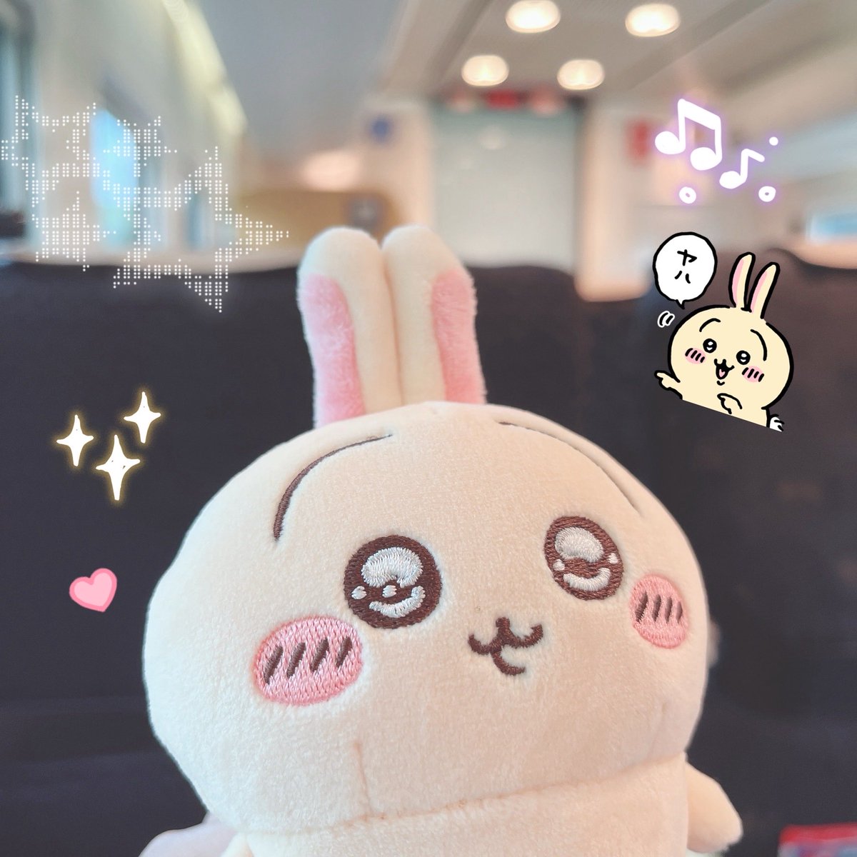 sweet_meruru's tweet photo. うさぎと初めての遠出のお出かけ
なんか嬉しそうだった🐰💛 https://t.co/ZhMjzUO1VK