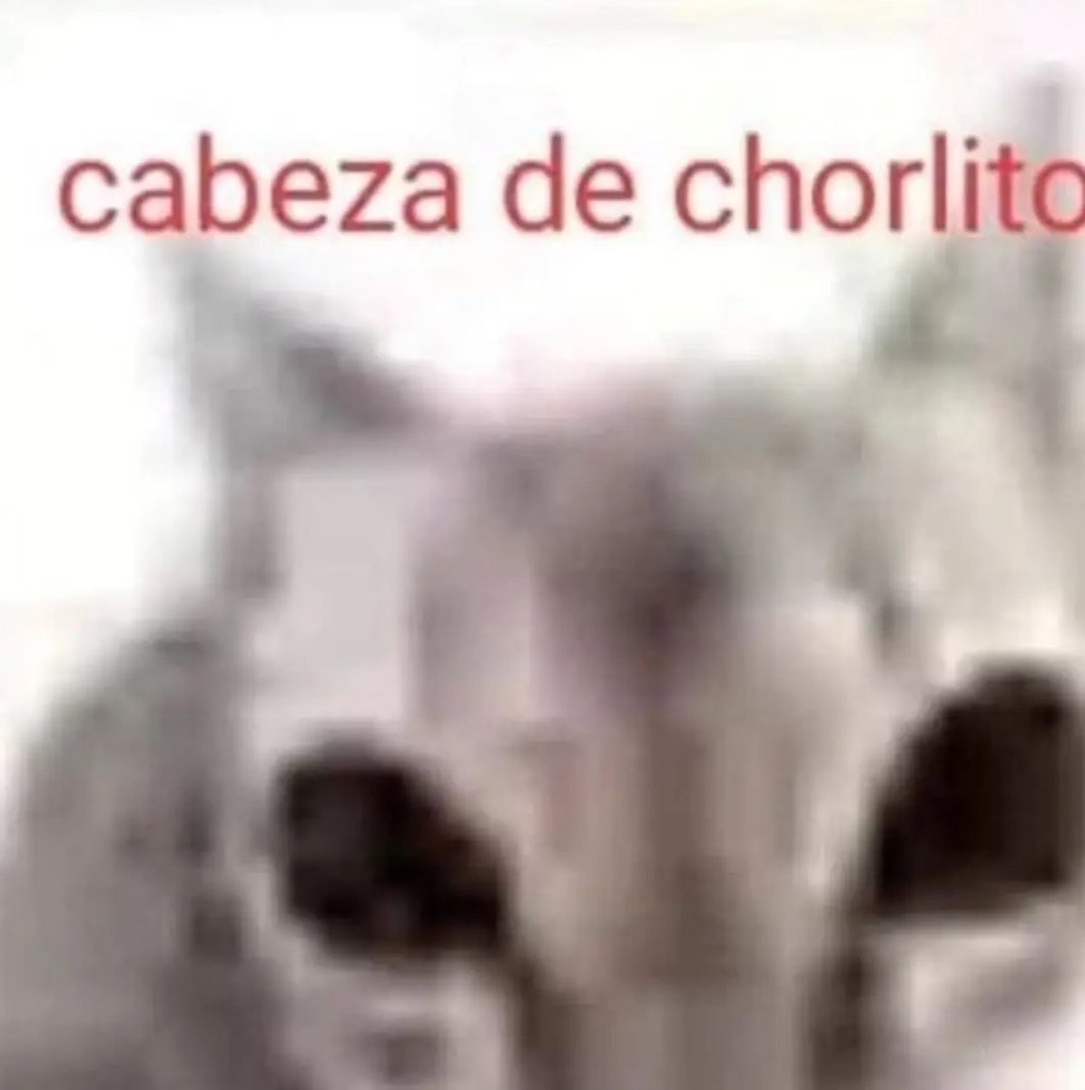 skereunpesado's tweet photo. https://t.co/5u8O6woAWP