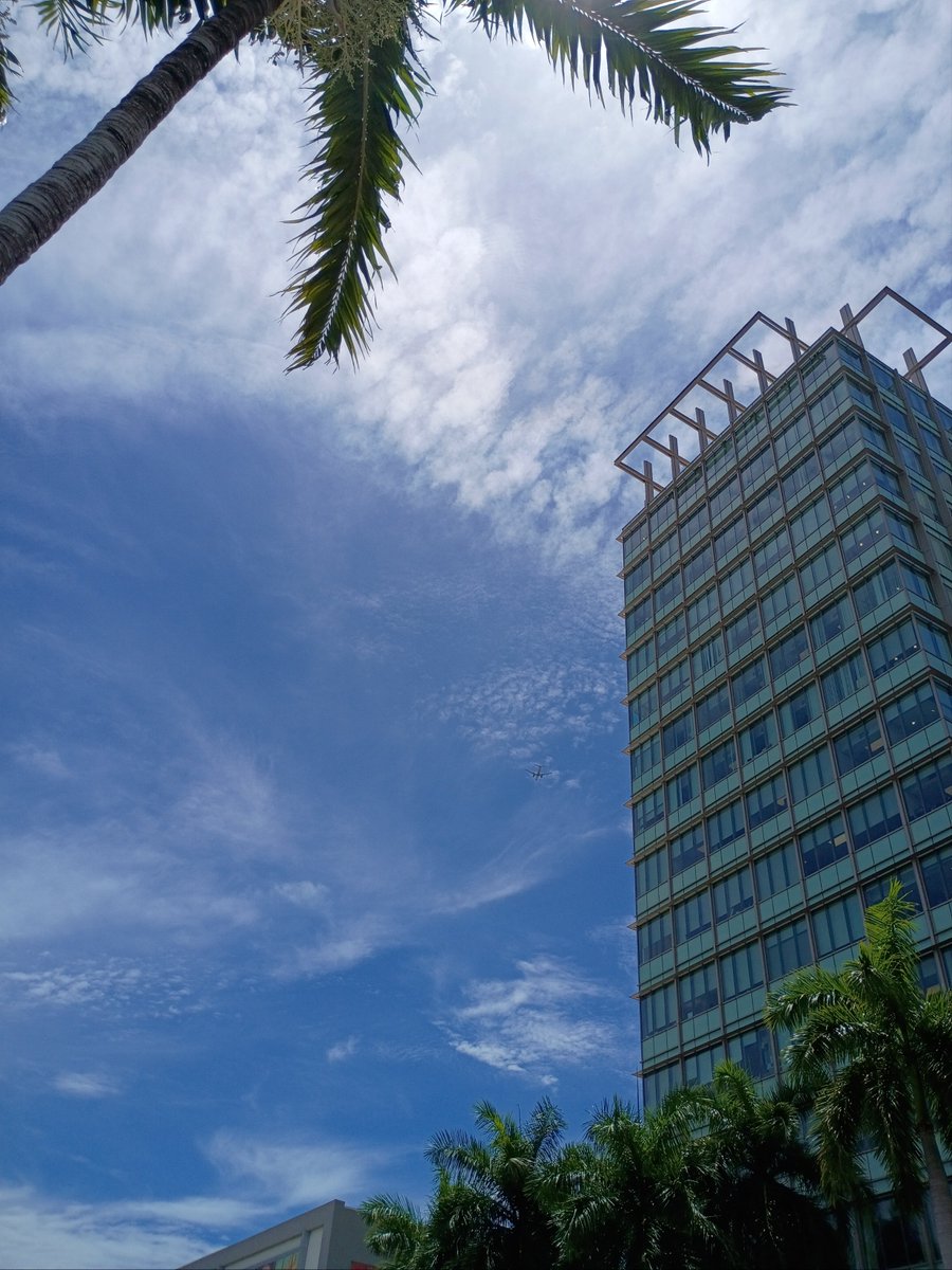 JorgeGNYCMIA's tweet photo. @JorgeG179 #Miami #Sky #Sunshine #Palmtrees #photo #photodaily #phototoday #photoofthedaye #photogram #photograph #photographer #photography #photooftheweek #photos #photosession #photoshot #photostudio #skyphotography #sunrays #sunflares #lensflare #SunshineMorning https://t.co/Ls3r106Ud8