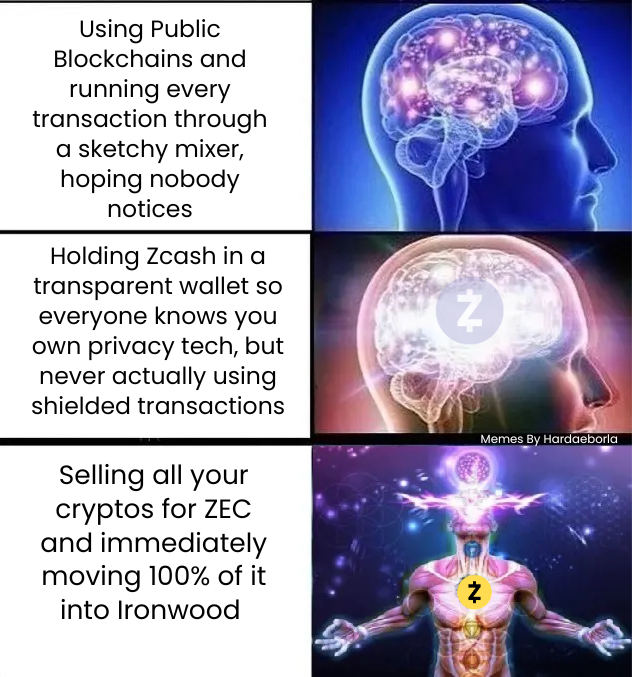 ZcashNigeria's tweet photo. Stop relying on sketchy mixers and holding zcash:native in transparent addresses just to flex.

Ascend your privacy game: swapping everything to zcash:native  and immediately shielding it in Ironwood is the ultimate galaxy brain move. 
#zcash #Meme #Zeme #PrivacyIsNormal #Crypto #Ironwood