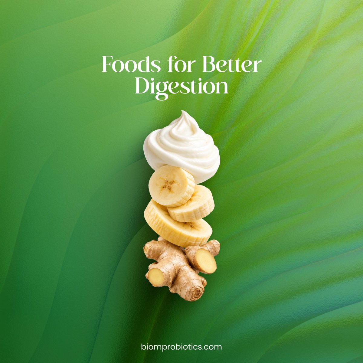 biomprobiotics's tweet photo. Good digestion starts with giving your gut what it needs. 

Adding fiber-rich, nourishing foods to your everyday diet can help support a healthy gut microbiome and keep your digestive system working naturally.

#BiomProbiotics #GutHealth #DigestiveHealth #GutMicrobiome https://t.co/TlxyfSOLSD
