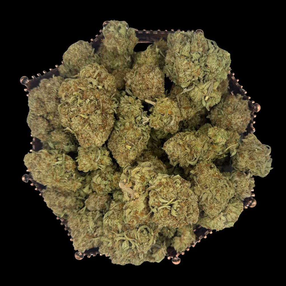 Cportmerch's tweet photo. Adult Use Only 21+🚨
#THCAKING discount code: CPORT💸
OG Kush Light Dep THCA
#OGKush is one of the foundational strains of modern cannabis, and half the shelf traces back to it.
This is the Kingdom's light dep run, sold from a half ounce up to a pound alongside our #greenhouse THCA flower
https://t.co/l0i0kF22YP