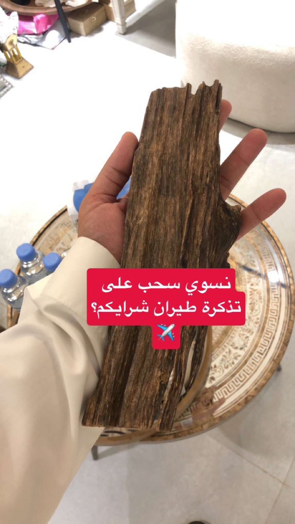 tanal1oud's tweet photo. شرايكم بفكرة نسحب على تذكرة سفر 👌✈️

بدون شروط فقط لمتابعين سنابنا 🤫

#يوم_الجمعه #النصر #الهلال #الرياض https://t.co/BjDUthCT0H