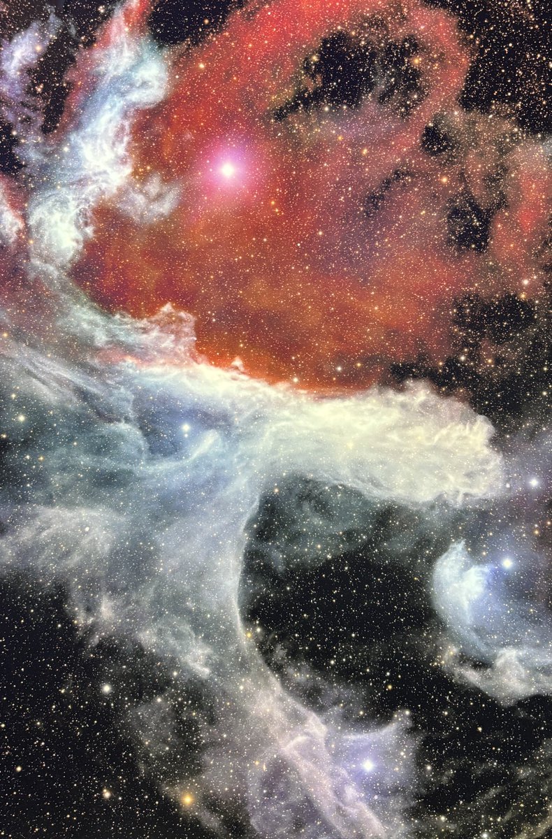 Galactic_Eye_'s tweet photo. ZWO Astronomy Photographer of the Year 2026 exhibition starts today at National Maritime Museum, London.
Steve’s choice this year is “SH2-1: The Warden of Pi Scorpii” by Charles Robert (France). Once you think “white dragon head” you can’t unsee it! @RMGreenwich #astronomy #apy18 https://t.co/jAy9Kum5YE