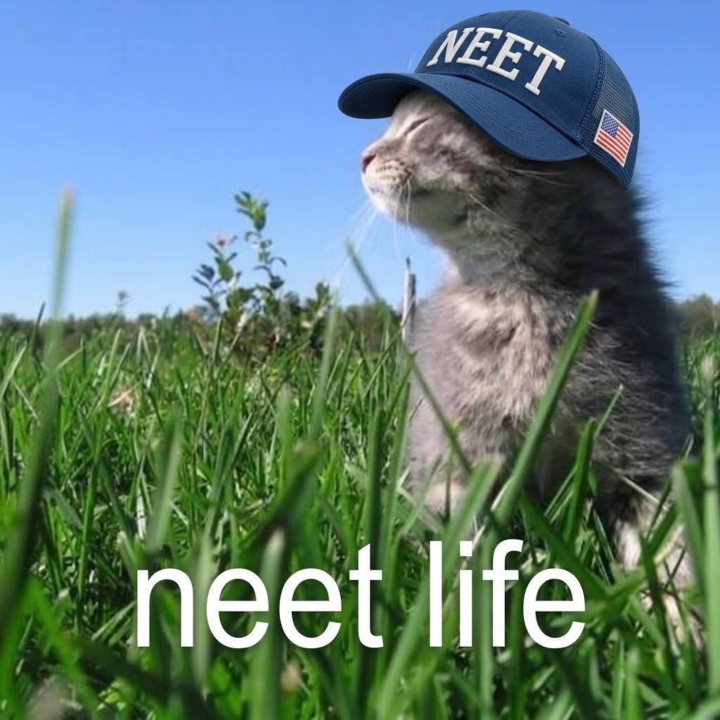 Francesca333L's tweet photo. @theneetguy every day is a neet day https://t.co/dgBw89eBUw