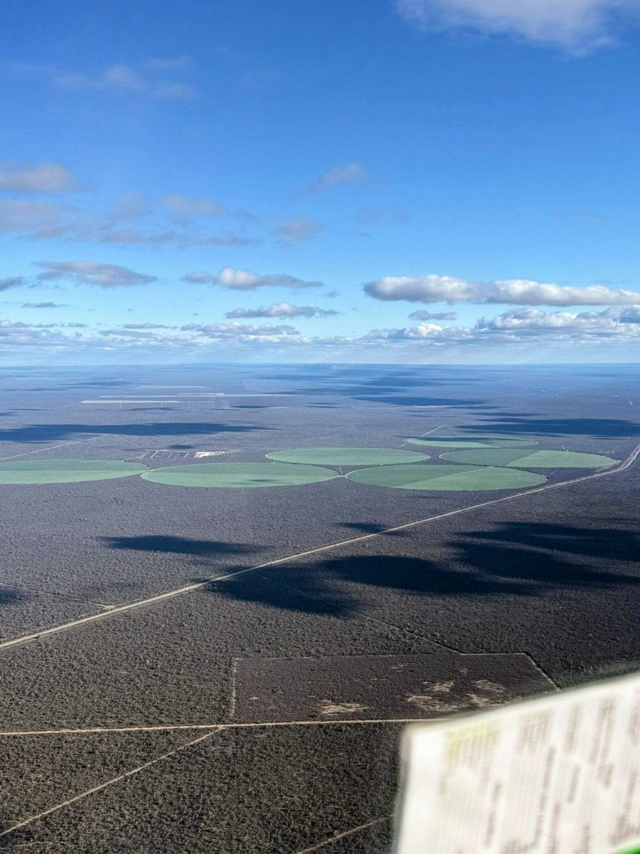 AlejandroCadile's tweet photo. Un oasis en el Chaco árido de San Luis.
Que poder transformador tiene el #riego
Monte hasta el horizonte...
#pivot #centerpivotirrigation #irrigation https://t.co/9TmUpHeemq