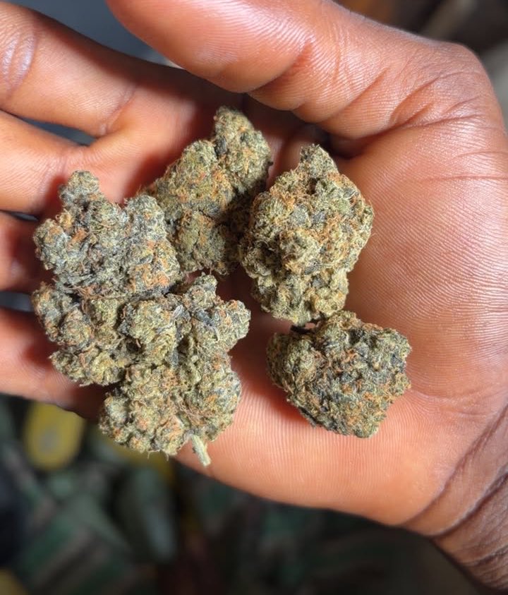 420culture_0's tweet photo. Only my WhatsApp people can tell which one is Scottish here 💯😁🟢 https://t.co/tYef6N2qAT