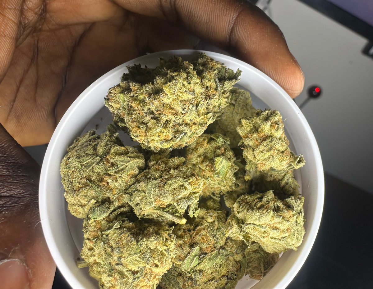 420culture_0's tweet photo. Only my WhatsApp people can tell which one is Scottish here 💯😁🟢 https://t.co/tYef6N2qAT