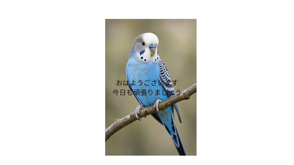 Highbook tweet picture