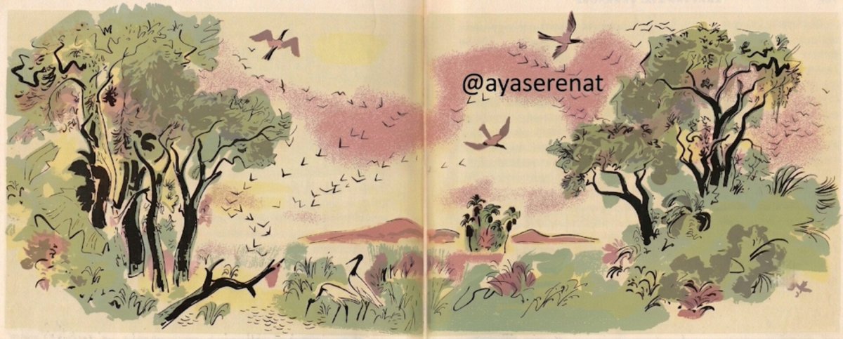 ayaserenat's tweet photo. İnşallah bir gün gözlerimiz dolu dolu gülerek deriz:

 “Rabbim, 
bu benim hayal ettiğimden daha güzel. Elhamdülillah.” https://t.co/4vTRdsXYLZ