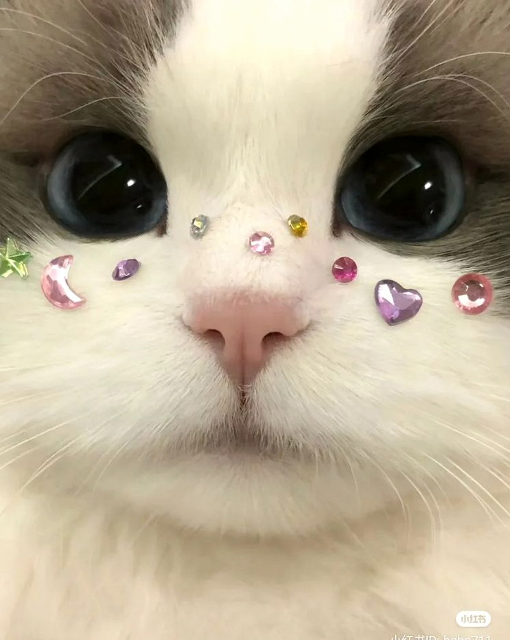 BrianJoeWalsh's tweet photo. え？え？え？Steamでも妖怪ウォッチ出来んの？神すぎ https://t.co/dwqgyLVqLe