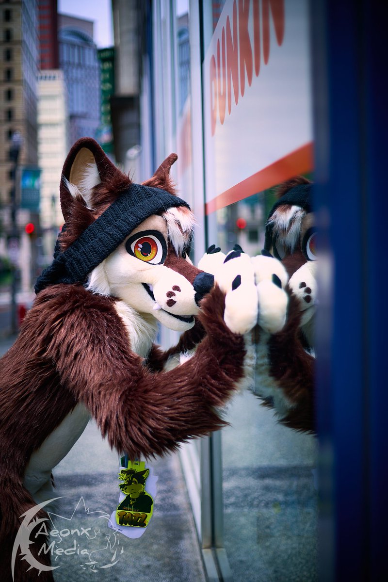 TazztheWolf's tweet photo. This waff needs coffee and doughnuts...

Happy Fursuit Friday 🤎

🧵: @StuffedTailsFur 
📸: @aeonx_LR https://t.co/kO5TRieDn6
