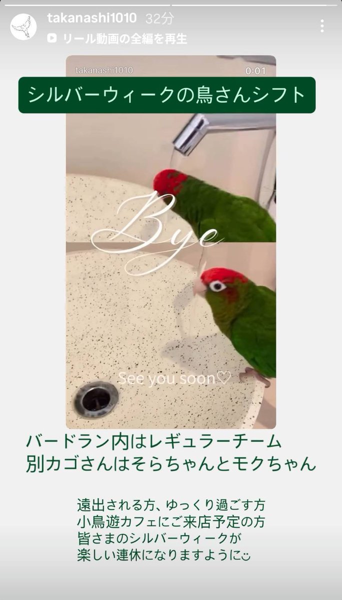 AAA333AAA333AA3's tweet photo. 小鳥遊カフェ

※営業日変更有

９月１９(土)２０(日)２１(月)

サザナミ、シア
オカメ、モク、グリ
セキセイ、ポポ
キンカ、キキ、パヤン
キンセイチョウ、エプ
ナヨウセイコウ、ラピ
十姉妹、ラス、コボ

別カゴ
マメルリハ、ソラ
オカメ、モク https://t.co/t2MDawNdDv