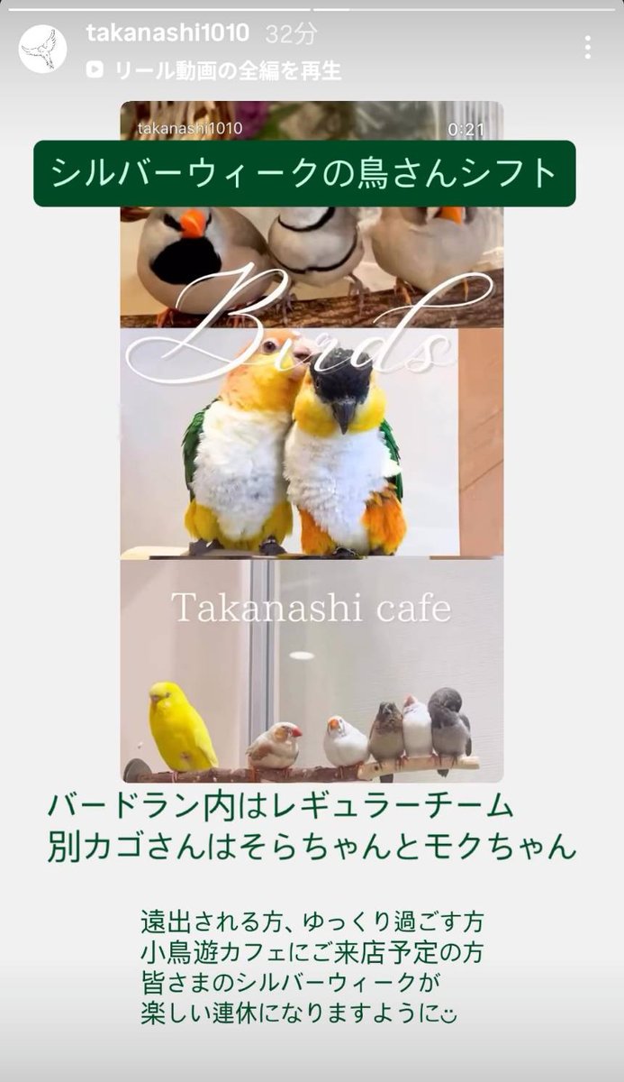 AAA333AAA333AA3's tweet photo. 小鳥遊カフェ

※営業日変更有

９月１９(土)２０(日)２１(月)

サザナミ、シア
オカメ、モク、グリ
セキセイ、ポポ
キンカ、キキ、パヤン
キンセイチョウ、エプ
ナヨウセイコウ、ラピ
十姉妹、ラス、コボ

別カゴ
マメルリハ、ソラ
オカメ、モク https://t.co/t2MDawNdDv