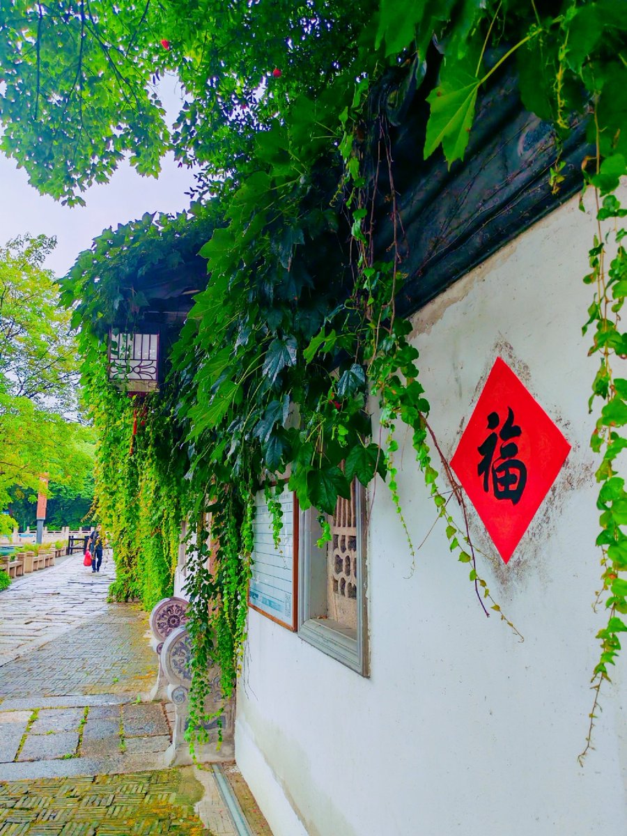 AnishaZengf24's tweet photo. Just stumbled on this sun-dappled alley corner—old brick walls, random potted plants, and the quiet hum of city life right here. ， https://t.co/9tcihVnxFL