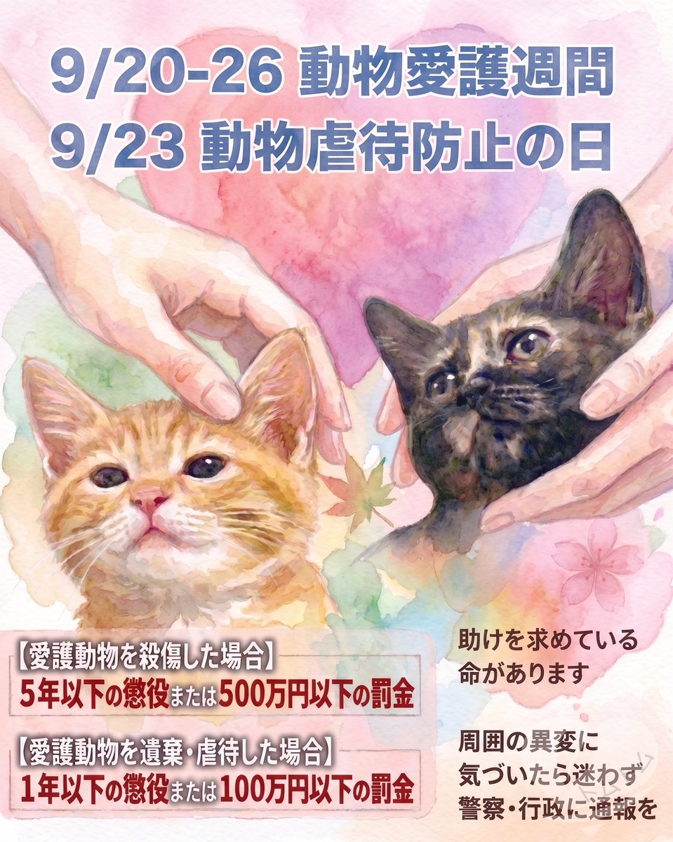 0101Kadue's tweet photo. 9️⃣月2️⃣0️⃣〜2️⃣6️⃣日 動物愛護週間

9️⃣月2️⃣3️⃣日 動物虐待防止の日

生まれてきてよかったと
すべての命が思える
優しい世界へなりますように🍀

#動物愛護週間
#動物虐待防止の日 
#動物虐待を許さない https://t.co/HE9cQyy84r